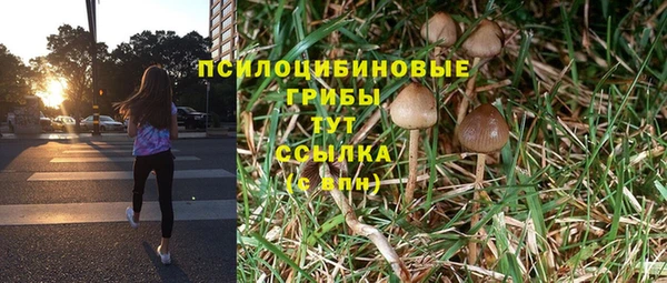 прущая мука Сосновка